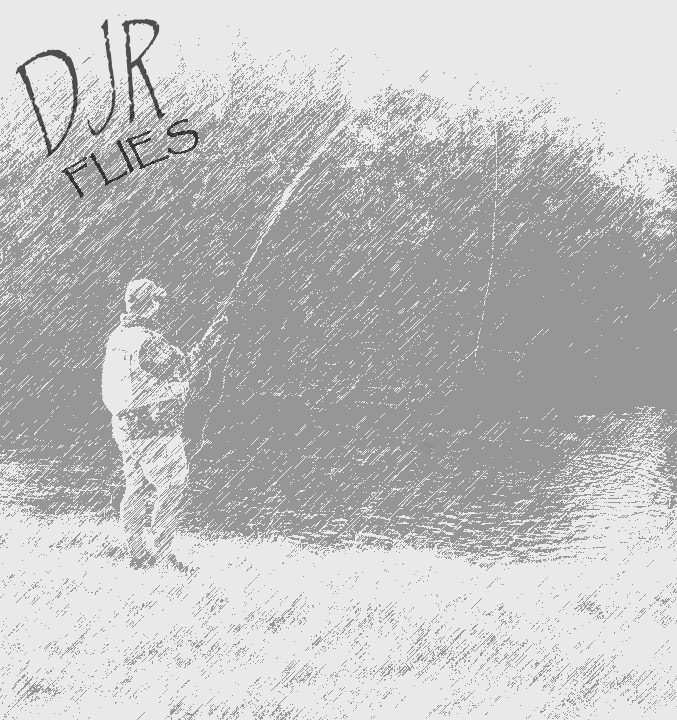 DJR flies 5